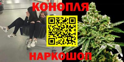 СК Заводоуковск