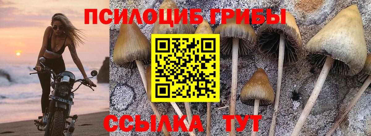 Тюмень  Галлюциногенные грибы Psilocybe  Вход с VPN 