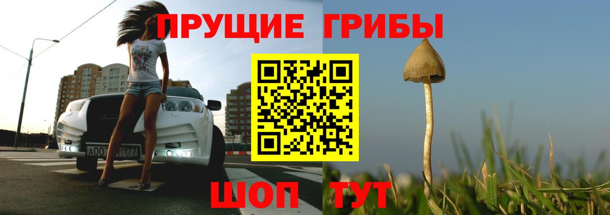 Псилоцибиновые грибы прущие грибы Тюмень